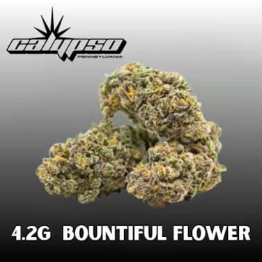 30% Off Calypso