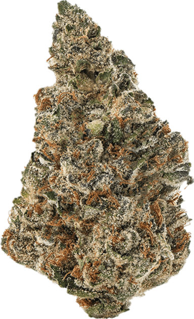 Pink Certz