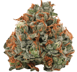 Casey Jones